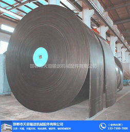 尼龍輸送帶 天恩輸送機械技術(shù)服務(wù)與輸送設(shè)備配件全解析